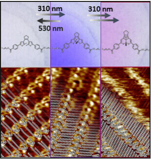 Surface-Induced Selection During In Situ Photoswitching at the Solid/Liquid Interface