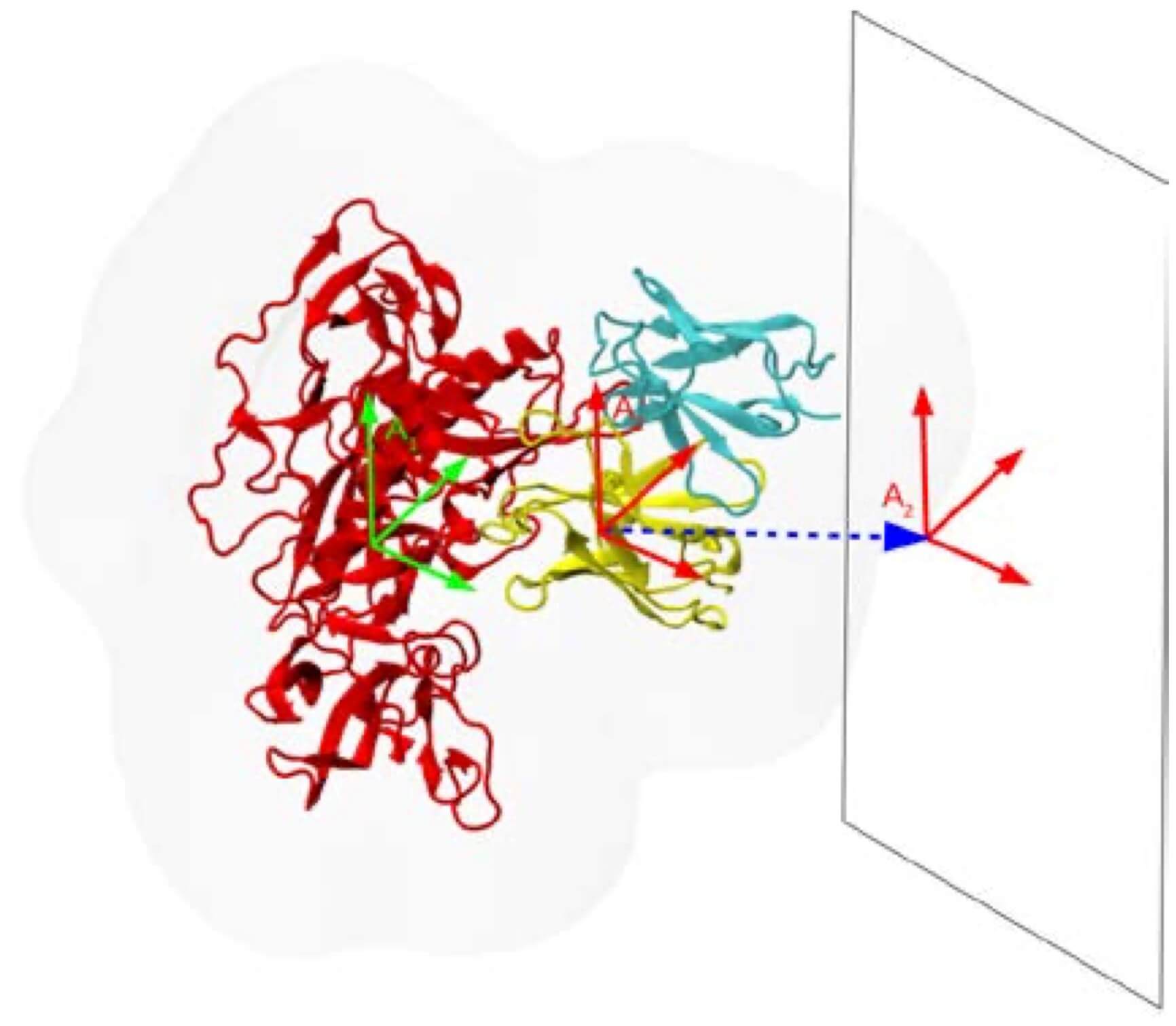 On the rapid calculation of binding affinities for antigen and antibody design and affinity maturation simulations